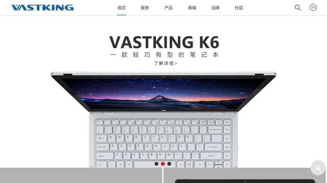 VASTKING官网介绍