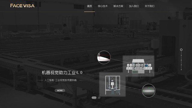 Facevisa官网介绍