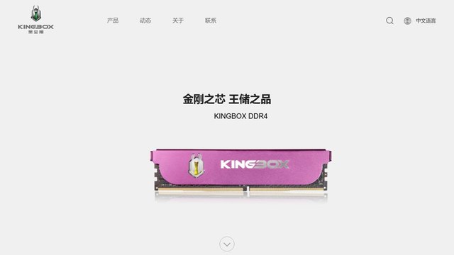 黑金刚内存条官网介绍