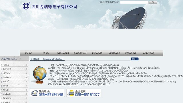 龙瑞微电子官网介绍