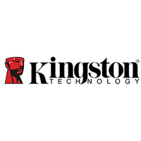 Kingston 金士顿 logo