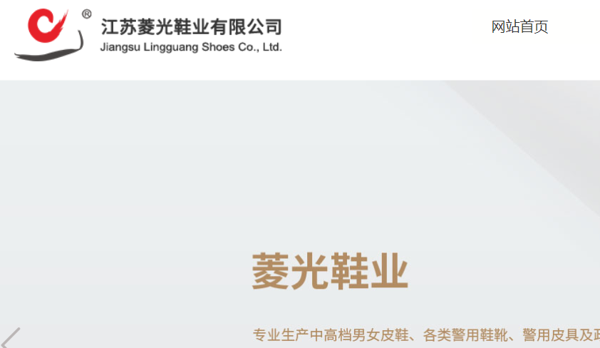 菱光官网介绍