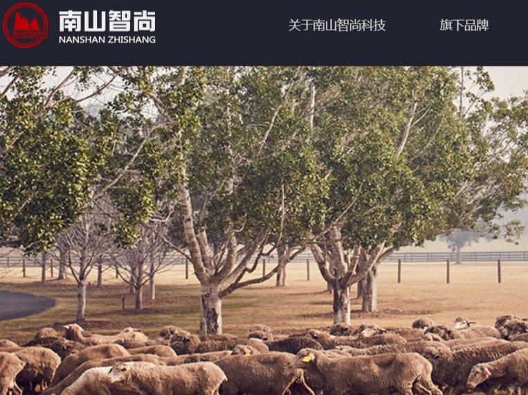 缔尔玛西服官网介绍