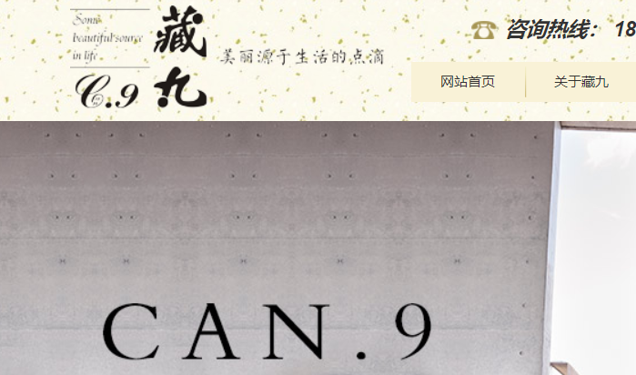 藏九官网介绍