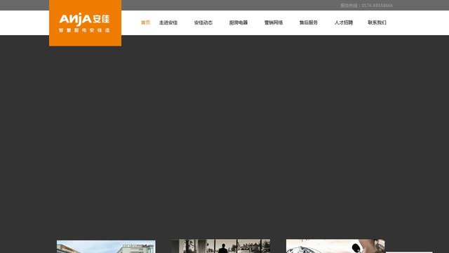 安佳卫厨电器官网介绍