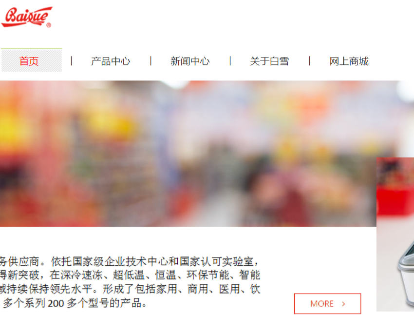 白雪电器官网介绍