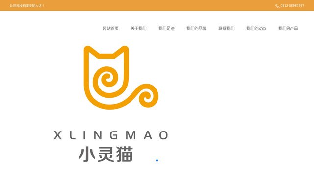 小灵猫信息科技官网介绍