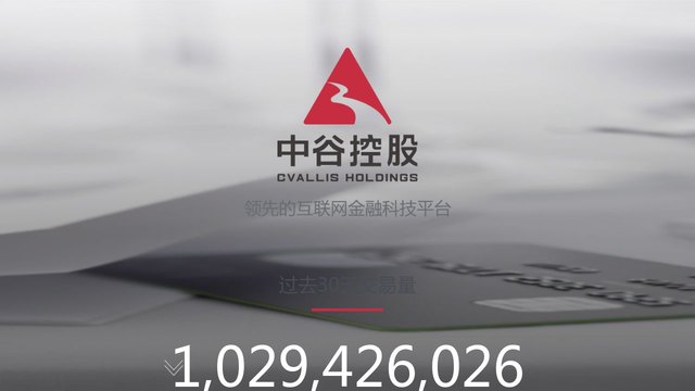 中谷控股官网介绍