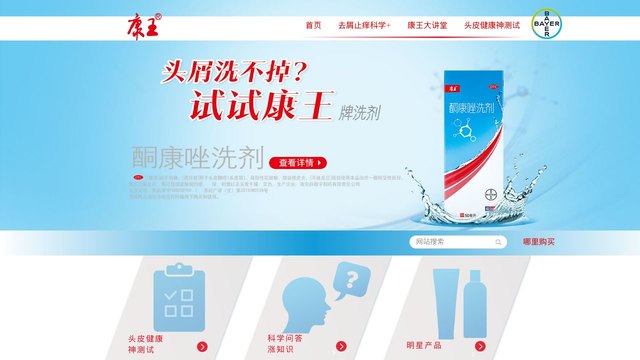 康王官网介绍