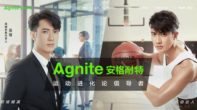安格耐特官网介绍