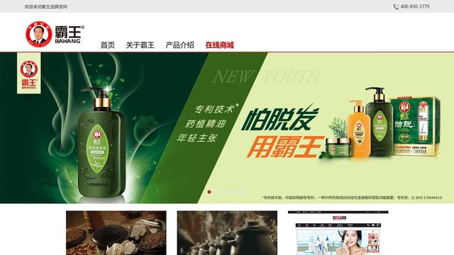 霸王官网介绍