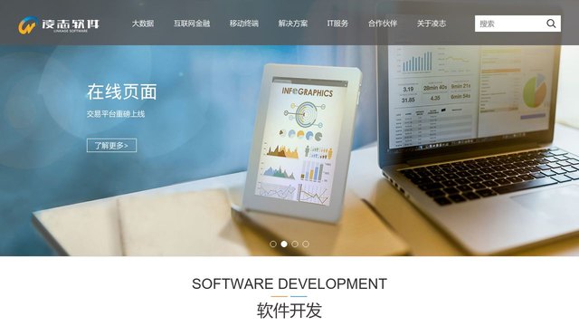 凌志软件官网介绍