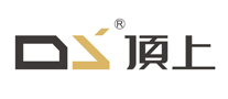 顶上 DS logo