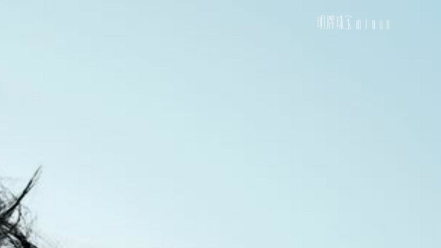 明牌珠宝官网介绍