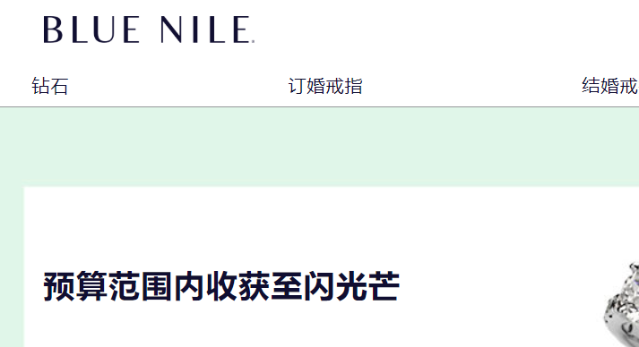 BlueNile官网介绍