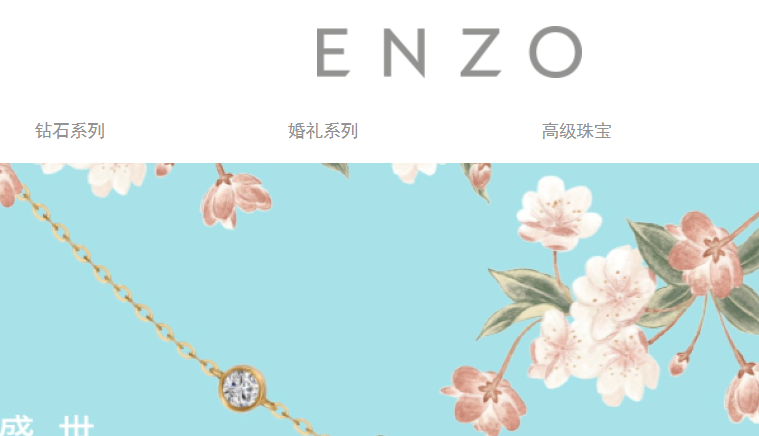 ENZO官网介绍