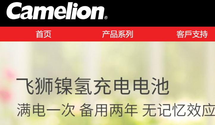 飞狮官网介绍