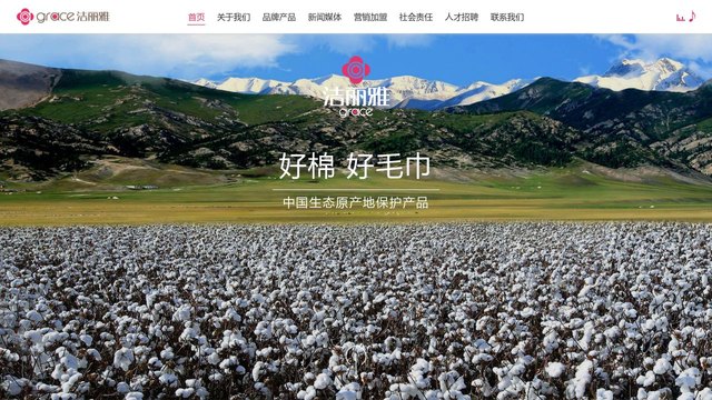 洁丽雅官网介绍