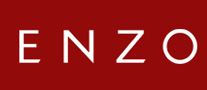 ENZO logo