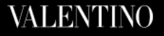 Valentino 华伦天奴 logo