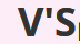 V'S logo
