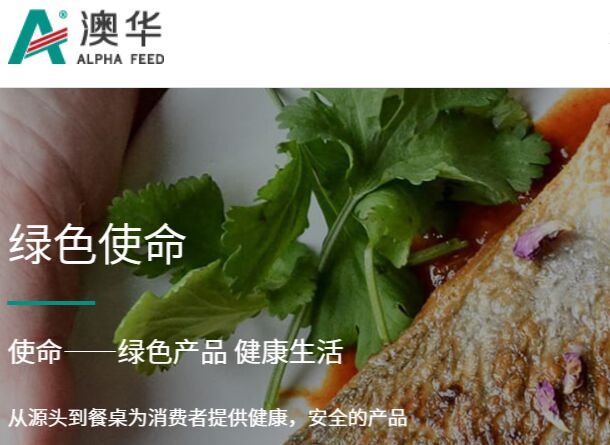 澳华集团官网介绍
