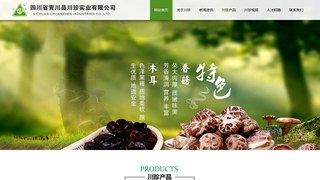 川珍官网介绍