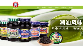 潮盛官网介绍