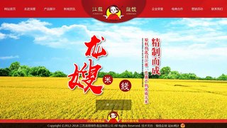 龙嫂官网介绍