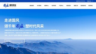 国风塑业官网介绍