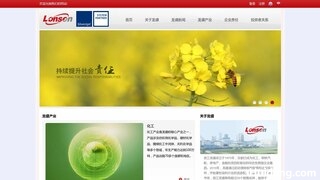 龙盛集团