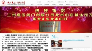 兰高阀官网介绍