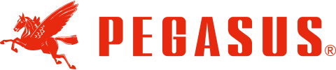 PEBASUS logo