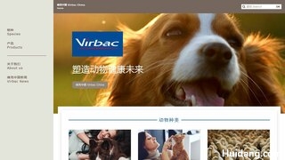 维克宠物用品官网介绍