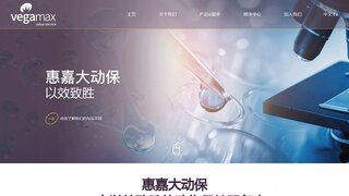 VEGAMAX 官网介绍