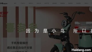 小鸟电动车
